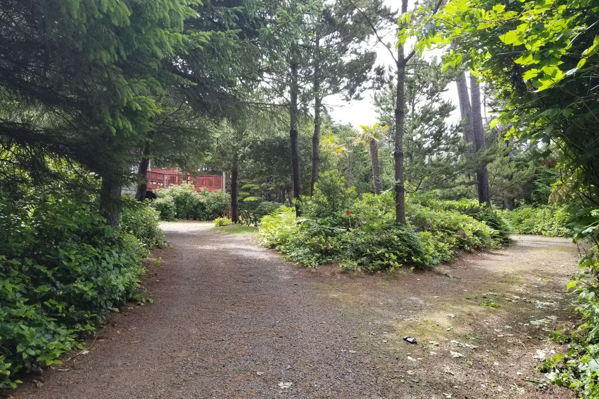 A peaceful outdoor path winds through lush greenery, splitting into two directions. In the background, a wooden structure peeks through the foliage, inviting exploration. The entire scene is enveloped in dappled sunlight, creating a serene and secluded atmosphere.
