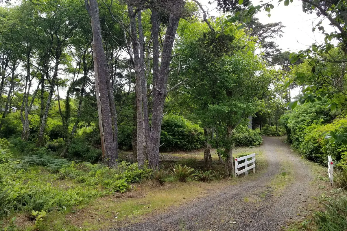 A serene gravel path winds through a wooded area, flanked by tall trees and ending at a white gate. The dappled sunlight gives the impression of a peaceful, natural environment perfect for walks and exploration with pets.