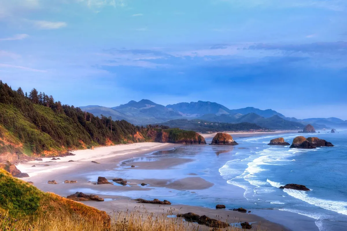 A breathtaking vista encompassing ocean waves rolling onto a sandy beach, striking rock formations, distant mountains, and a lush forest meeting the shoreline. The expansive view conveys the dynamic interplay between forest and coast, with natural elements inviting exploration and adventure.