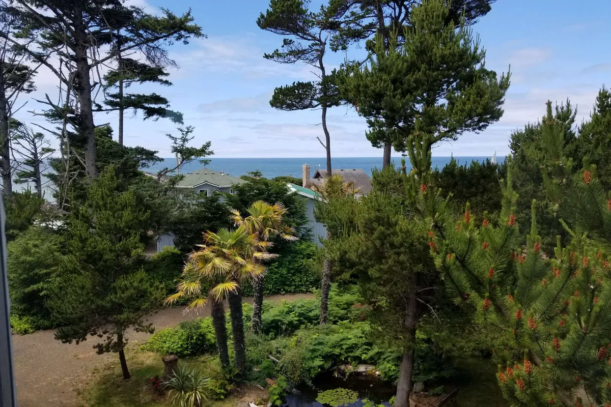 An expansive view of the ocean framed by tall trees and lush greenery, with palm trees adding a touch of the exotic. The scene is tranquil, inviting guests to enjoy morning coffee, sunset views, or quiet meditation surrounded by nature.