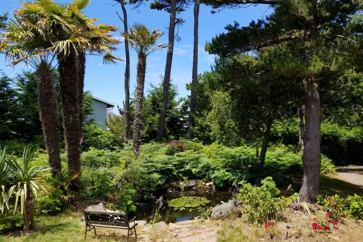 A peaceful pond scene framed by palm trees, a bench, and lush greenery. The tranquil water reflects the surrounding foliage, inviting moments of relaxation, birdwatching, or quiet contemplation on the bench.